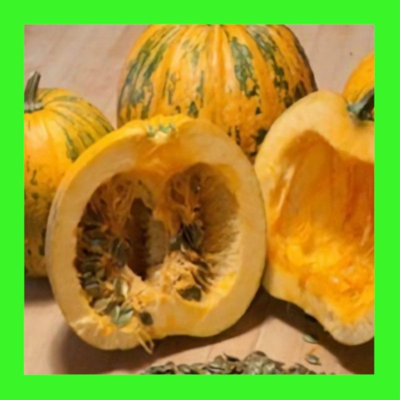 PUMPKIN STYRIAN HULLESS ABSeeds Heritage Seeds