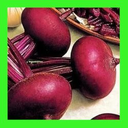 BEETROOT_EGYPTIAN