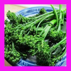 BROCCOLI_CHINESE_(GAI_LAN)