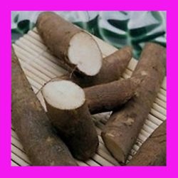 BURDOCK_TAKINOGAWA_LONG
