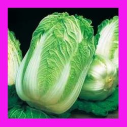 CABBAGE_WONG_BOK