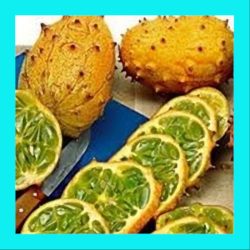CUCUMBER_KIWANO_PRICKLY_CUK)