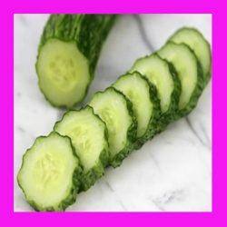 CUCUMBER_SUYO_LONG