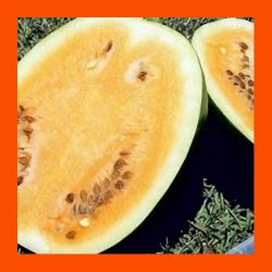 FRUIT_CHAMPAGNE_WATERMELON