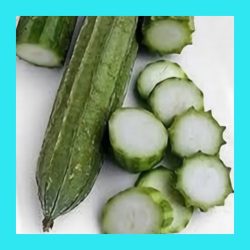 GOURD_LUFFA_ANGLED_(SIN_QUA)