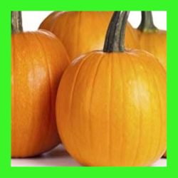PUMPKIN_JACK_O'LANTERN