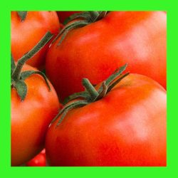 TOMATO_BREAK_O'_DAY