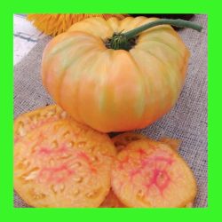 TOMATO_PINEAPPLE