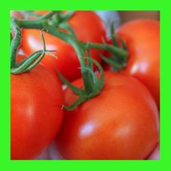 TOMATO_SCORPIO
