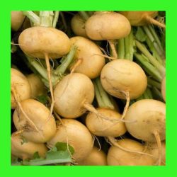 TURNIP_GOLD_BALL