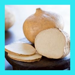 YAM_JICAMA_(YEE_KARMA)_CLIMBER_ASIAN