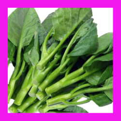 BROCOLLI_CHINESE_JADE