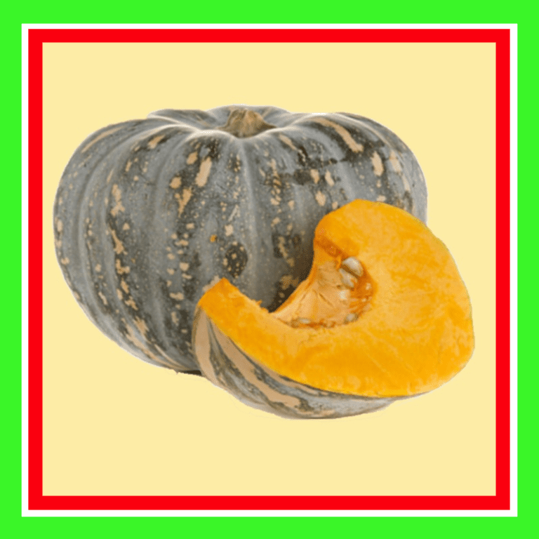 PUMPKIN_JAP_TREATED1