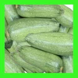 ZUCCHINI-GRAY