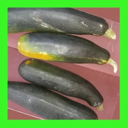 ZUCCHINI_BLACK_JACK