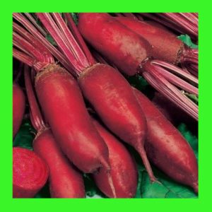 BEETROOT_CYLINDRA