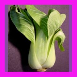 CABBAGE_BABY_BOK_CHOY