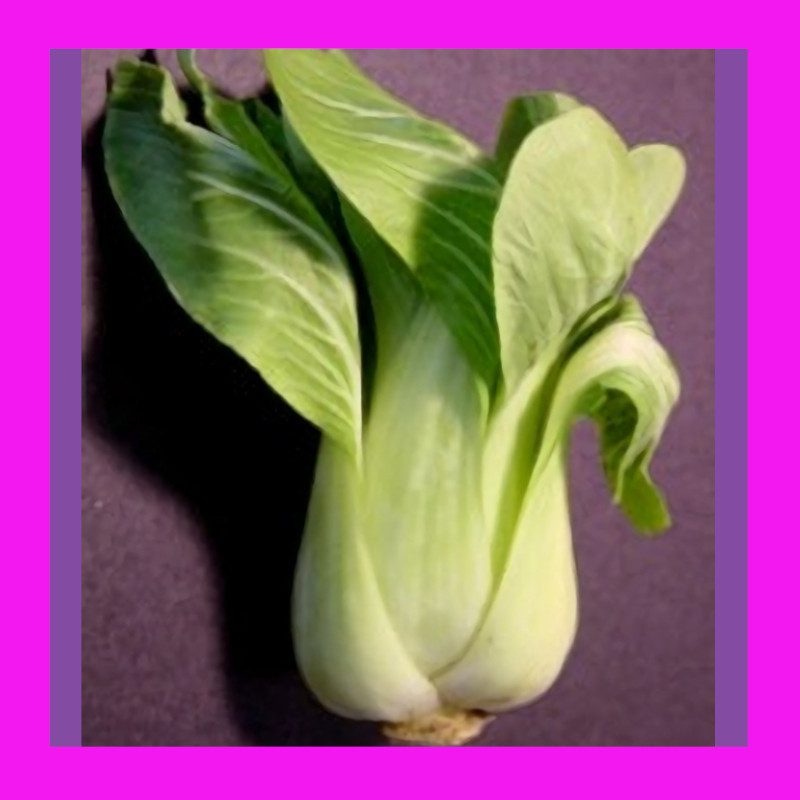 CABBAGEBABY BOK CHOY Heritage organic open pollinated seeds