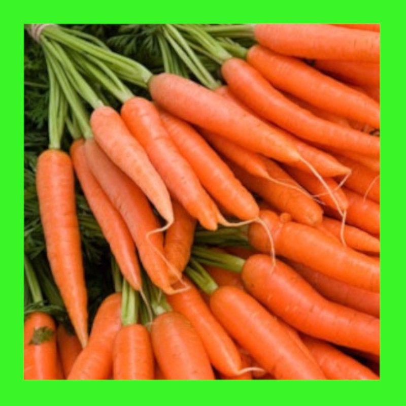 CARROTLITTLE FINGERHeritage organic open pollinated seeds