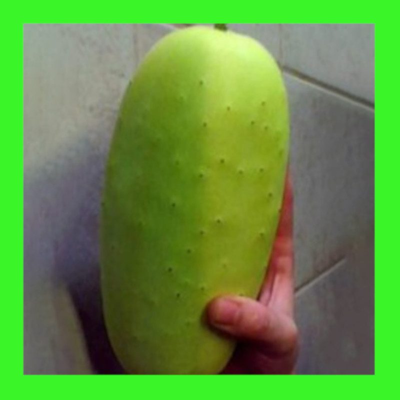 CUCUMBERGYMPIE GOLD Heritage & Organic open pollinated seeds