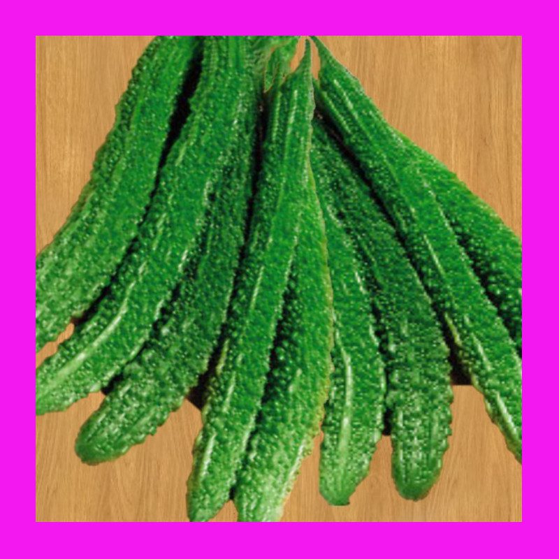 GOURDBITTER MELONJAPANESE Heritage Seeds ABSeeds