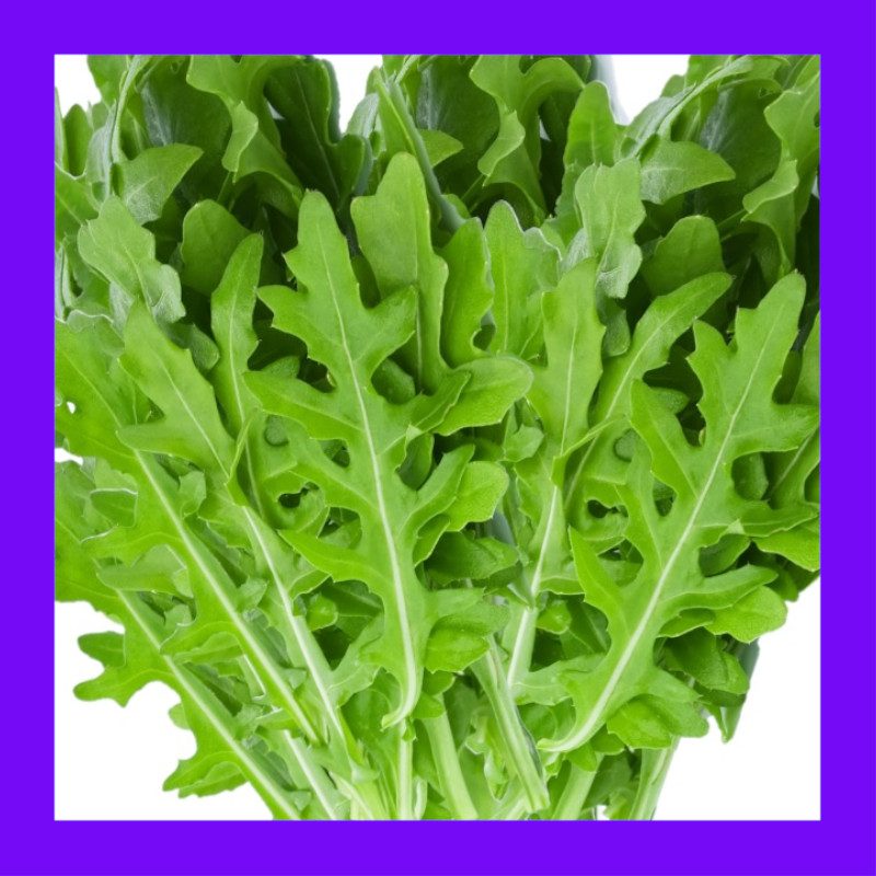 Rocket Lettuce The Rocket Salad Was To Blame AGROLAB GROUP Rocket Lettuce The Rocket Salad Was To Blame AGROLAB GROUP