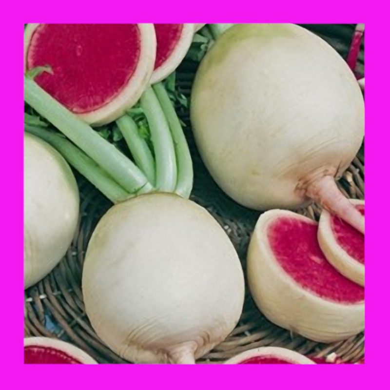 RADISHWATERMELON(SHINREMEI) Heritage sSeeds