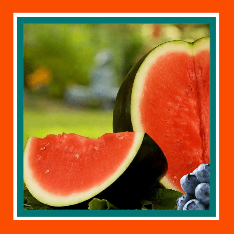 FRUITSUGAR BABYWATERMELON Heritage & open pollinated seeds