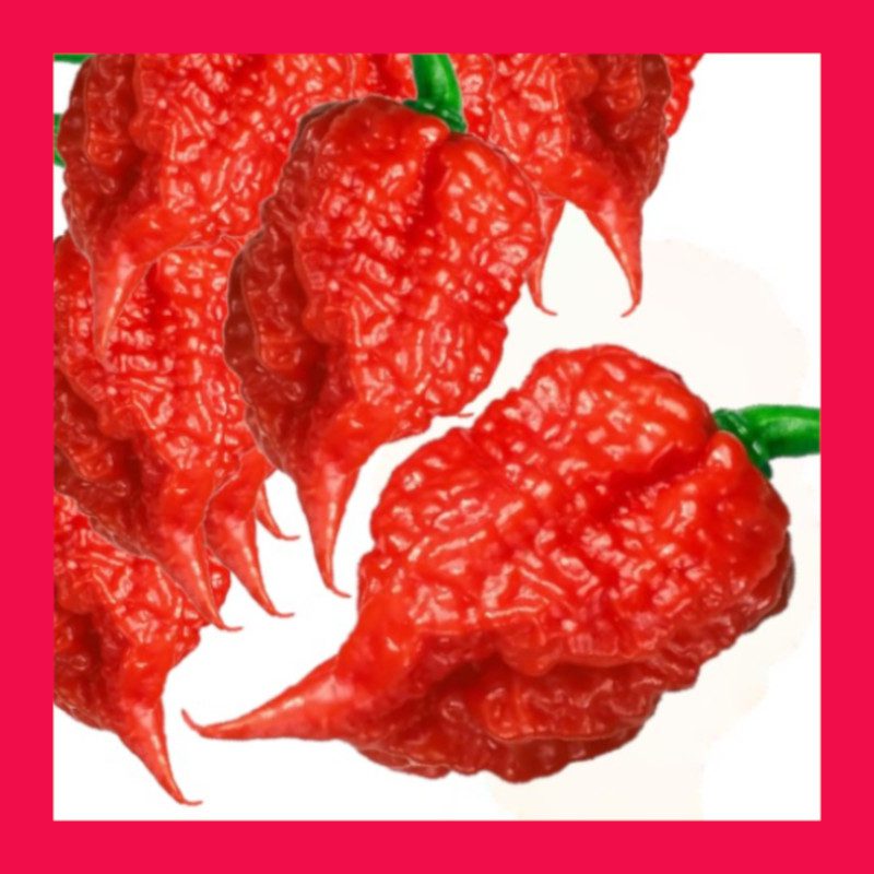 CHILLICAROLINA REAPER ABSeeds